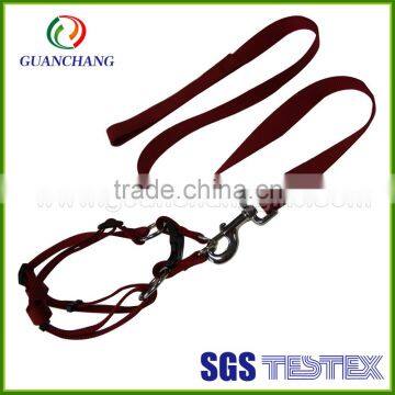 2014 New Products Dog Leash and Collar on Market photo-2