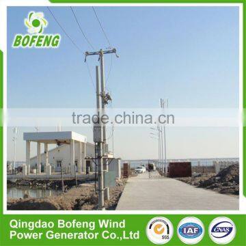 China Manufacturer French Style 500w Home Vertical Wind Turbine Street Lights Kits photo-4