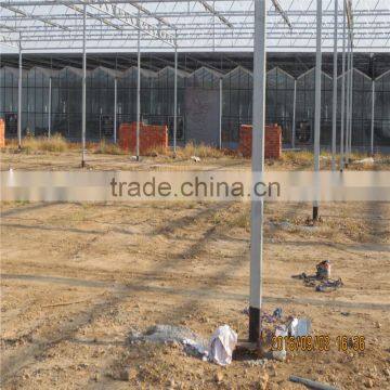 Multi-span Low Cost Greenhouse,commercial Greenhouse in Tanzania photo-5