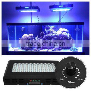 55x3 watt led blue light fish tank best for coral reef growing