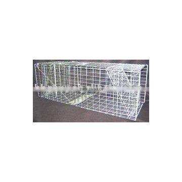 rat catching cage