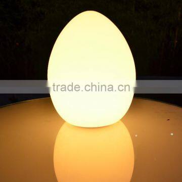 DC Charger Waterproof Led Eggs Color Changing Led Eggs Light photo-2