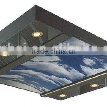 Stainless Steel Elevator Ceiling Panel photo-3