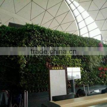 SJ1801298 Resturant Decoration Green Plant Walls photo-2