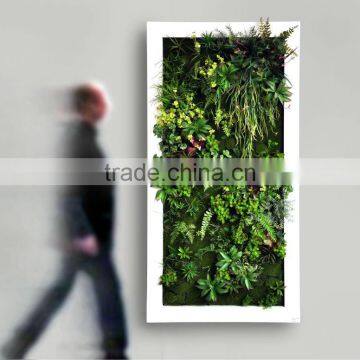 High Quality Artificial Wall Plant Artificial Succulent Plant Wall for Home Decor photo-6