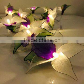 Warm White Operated LED String Lights photo-3