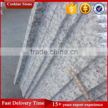 Popular Bala White G439 Grey Granite Countertop photo-5