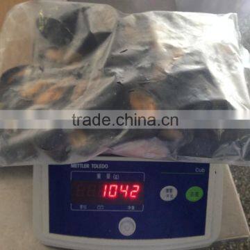 IQF Half Shell Blue Mussel photo-4