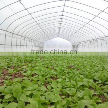 Agriculture Tunnel Vegetables PE Polytunnel Greenhouse for Sale photo-2