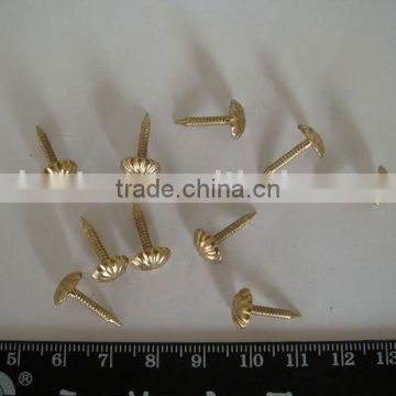 good quality flower shoe tack(factory)