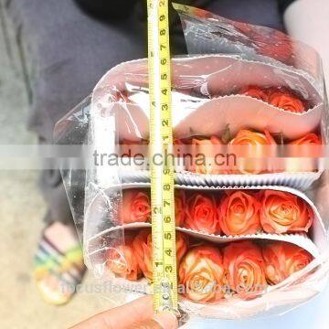 hot selling High Quality Natural Rose Flowers alibaba kenya for birthdays