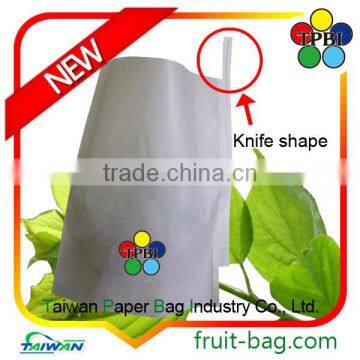 Wax Apple Fruit Bag Wax Apple Tree Paper Bag Fruit Protection Bags Photo photo-2
