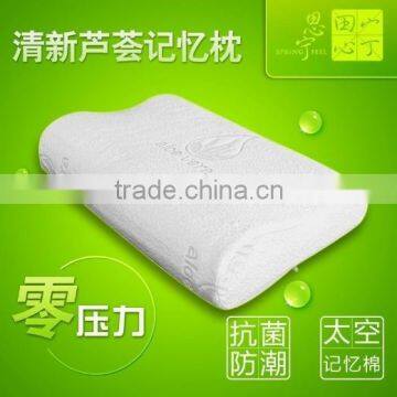 Best Selling Aloe Vera Memory Foam Pillow