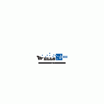 Dalian Wells Metal Products Co., Ltd.