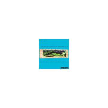 Wall-Mounted Aquarium (Natural Carbonized Wooden Frame)