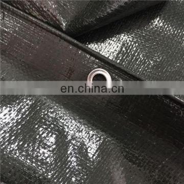 Plastic eyelet tarpaulin