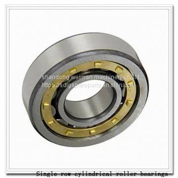 Single row cylindrical roller bearings