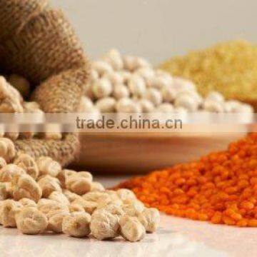 INDIAN CHICKPEAS