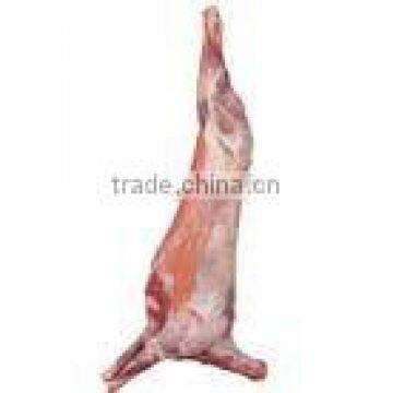 Frozen Lamb and Mutton Meat