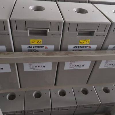 German Silver Fir Battery 2VEG1000 China General Agent photo-5