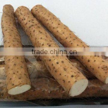 Naturally-grown Wild Yam Iron Polyphenol Content 20% photo-2