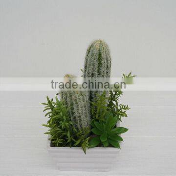 New arrival decorative artificial plants/ succulent plants mixed series