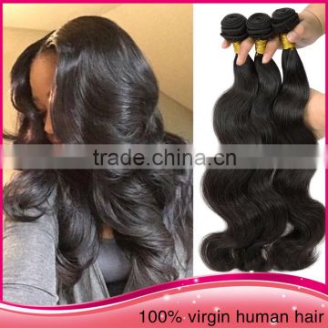 Top quality double drawn temple virgin indian hair wholesale pure virgin indian hair