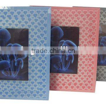 Glass 3D photo frame ZD198H