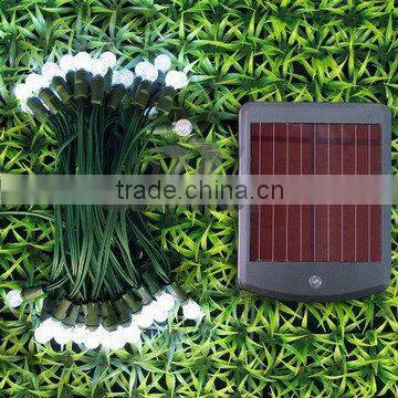 Solar Garden Light (G12 Pearl),Li-ion Battery