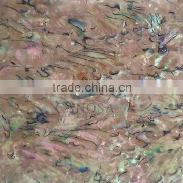 abalone shell /paua shell Shell Shell paper Interior Wall Decoration