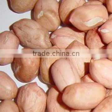 peanut kernals round type 40/50