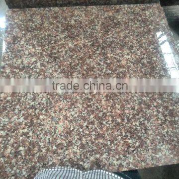 G687 Granite Pink Porno Granite G687 Granite Floor Tiles photo-6