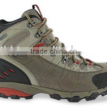 Hiking shoe