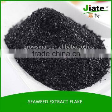 Good supplier seaweed fertilizer liquid