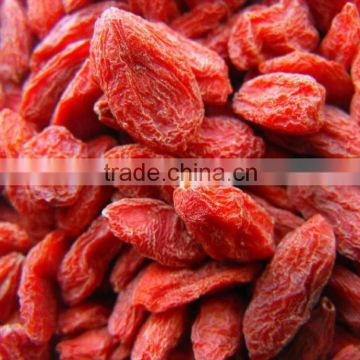 100% pure natural organic goji berries 280 pcs/50g