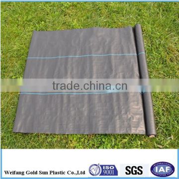 Agricultural use PP or PE material agricultural ground cover/weed mat