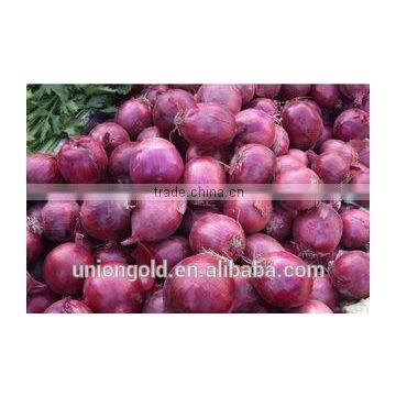 Hot sell fresh purple red yellow onion in bulk