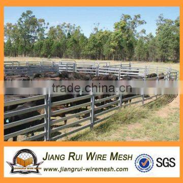 Cattle Yard Panel Cattle Loading Ramp Cattle Crush Cattle Gate photo-5