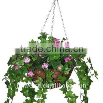 rose hanging