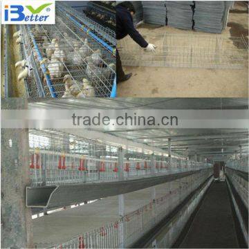 2015 hot-sell H type chicken layer cage