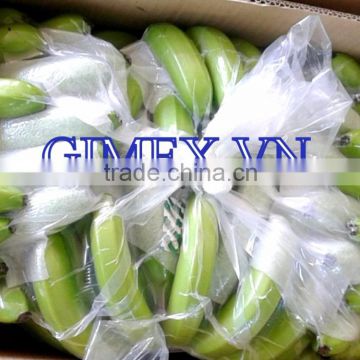 Grade A456 FRESH CAVENDISH BANANA +84963818434 whatsapp