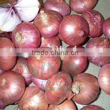 red onion