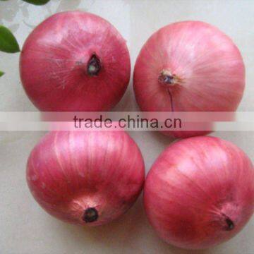 Chinese 2011 Red Onion ~ Good Qaulity