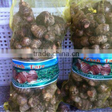 50g+ Fresh Taro For Middle East