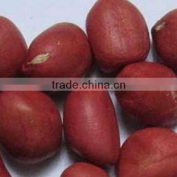 HIGH QUALITY BOLD GROUNDNUT KERNEL 38/42