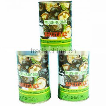 Good Shiitake mushroom in Can with HALAL Certificate