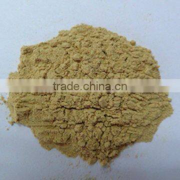 Dried, dehydrated ginger granule