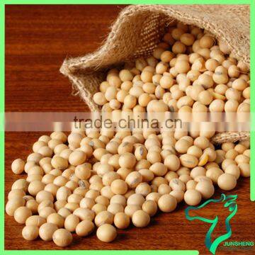 Cheap Price Of Soybean For Eat Filling