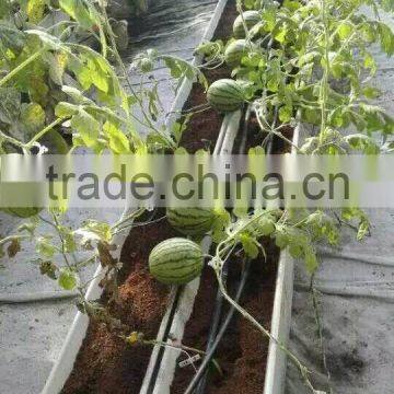 Hydroponic Gully for Large Crops photo-4