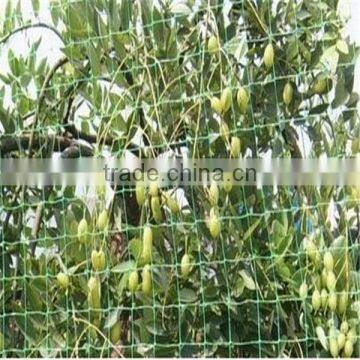 cucumber net plant support net garden net